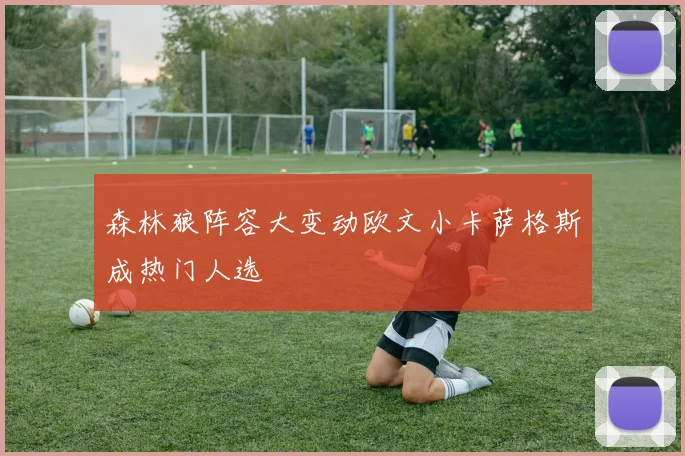森林狼阵容大变动欧文小卡萨格斯成热门人选