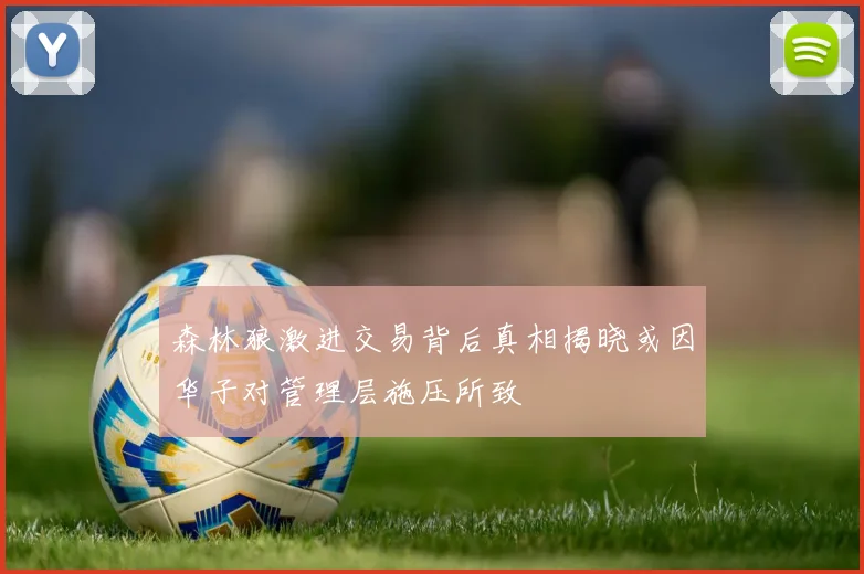 森林狼激进交易背后真相揭晓或因华子对管理层施压所致